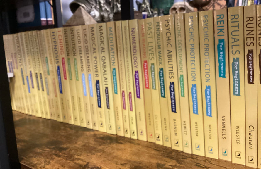 For Beginners Series