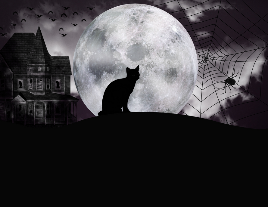 Halloween / Samhain