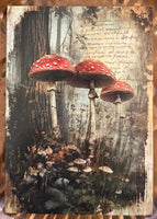 Post Cards ~ Gothic