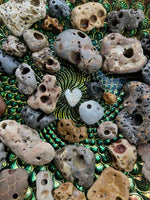 Witches Stones, Hag Stones, Crystal Magic