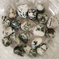 Tree Agate (TA)