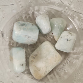Caribbean Calcite (CC)