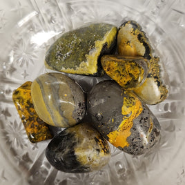 Bumble Bee Jasper
