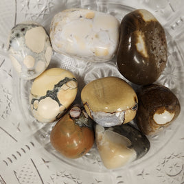 Conglomerate Jasper (CJ)