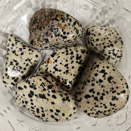 Dalmatian Jasper