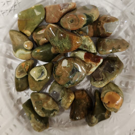 Rhyolite (Rainforest Jasper)