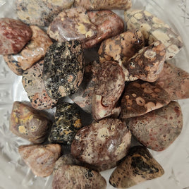 Leopard Skin Jasper (LSJ)