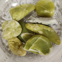 Noble Serpentine (NS)