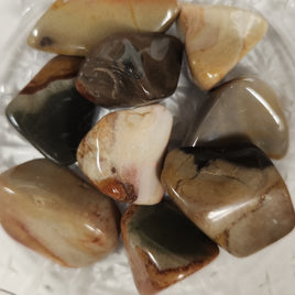 Polychrome Jasper (PCJ)