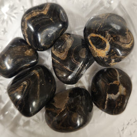 Stromatolite
