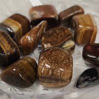 Golden Tiger Eye (GTE)