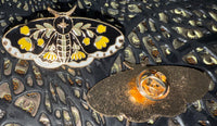 Enamel Pins ~ Moths/Butterflies