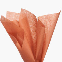 Bulk Color Tissue Paper 20X30" Sheets