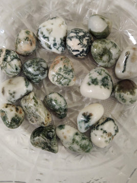 Tree Agate (TA)