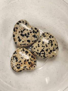 Dalmatian Jasper Heart