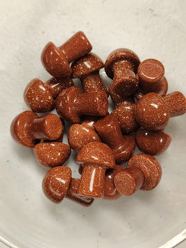 Mini Goldstone Mushrooms