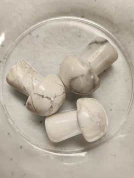 Mini Howlite Mushrooms