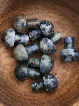 Mini Sodalite Mushrooms