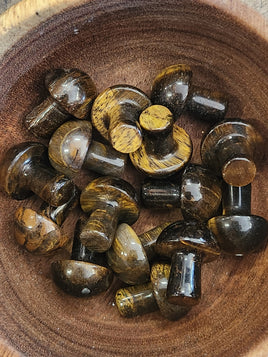 Mini Golden Tiger Eye Mushrooms