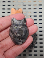 Wolf Head