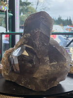 Large Smoky Quartz Cluster