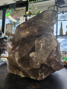 Large Smoky Quartz Cluster