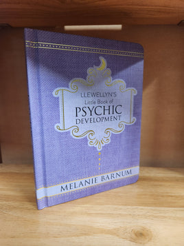 Llewellyn's Little Book of Psychic Development
