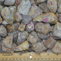 Rough Ruby in Kyanite