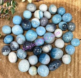 Trolleite Tumble (T)