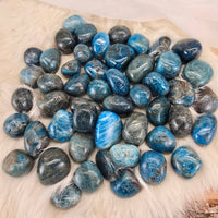 Blue Apatite