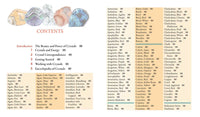Crystal Basics Pocket Encyclopedia by Nicholas Pearson