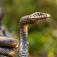 Snake Candle Holder