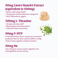 Elevate Mushroom Gummies (5) / Vegan Supplement / Mood