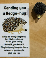 Humorous/Inspirational Pocket Buddies