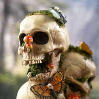 Skull with Dead Moths