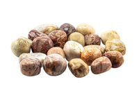 Fossil Coral Tumbled 1/2Kg-1Lbs