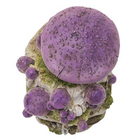 Skull with Purple Mushrooms