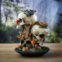 Skull with Dead Moths