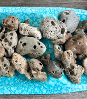 Hot off of the Island Hag Stones, Beach Stones, Fairy Stones
