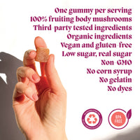Concentrate Mushroom Gummies (30) / Vegan Supplement / Focus