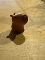 Humorous/Inspirational Pocket Buddies