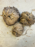 Herb, Tree & Plant Sages