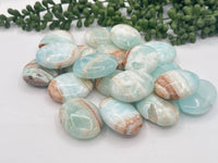 Caribbean Calcite Palm Stones~ (Pillow Shape)