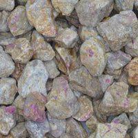 Rough Ruby in Kyanite