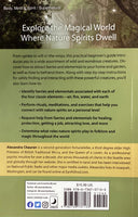 Faeries & Elementals for Beginners