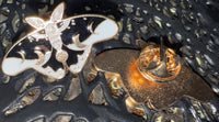 Enamel Pins ~ Moths/Butterflies