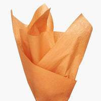 Bulk Color Tissue Paper 20X30" Sheets