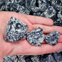 Rough Pinolith