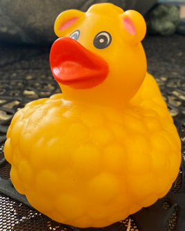Animal Ducks!!