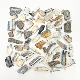 Flat Woolly Mammoth Teeth ~ Fossils ~ Wholesale Crystals